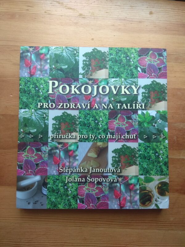 Pokojovky pro zdraví a na talíři